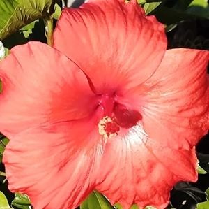 Meet your Posher, Claire